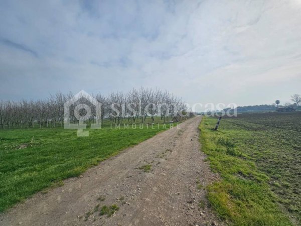 terreno agricolo in vendita a Marigliano
