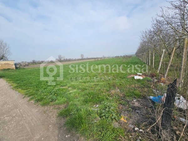 terreno agricolo in vendita a Marigliano in zona Lausdomini