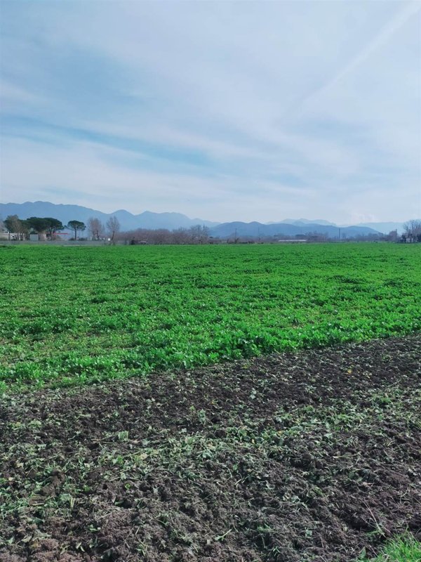 terreno agricolo in vendita a Marigliano in zona Pontecitra