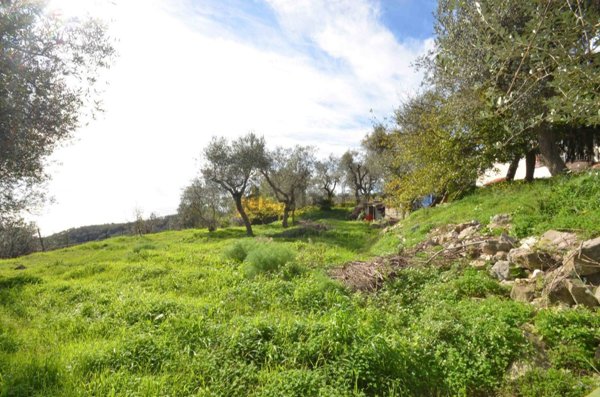 esavano in vendita a Massa Lubrense
