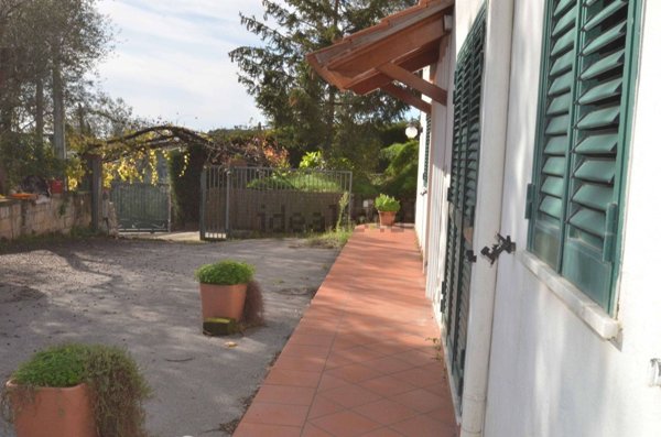 esavano in vendita a Massa Lubrense