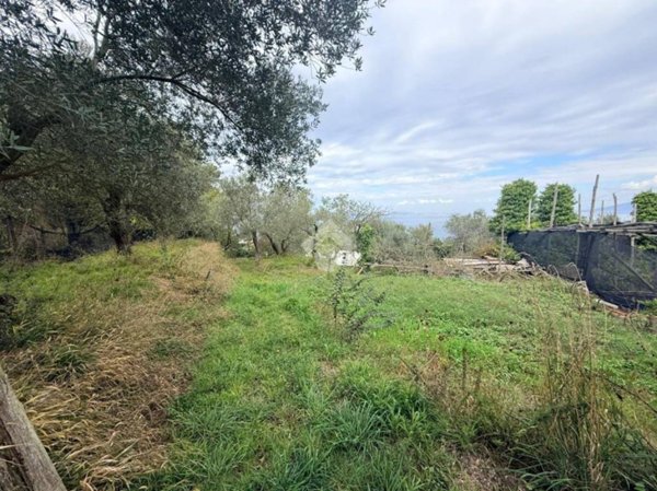 terreno agricolo in vendita a Massa Lubrense