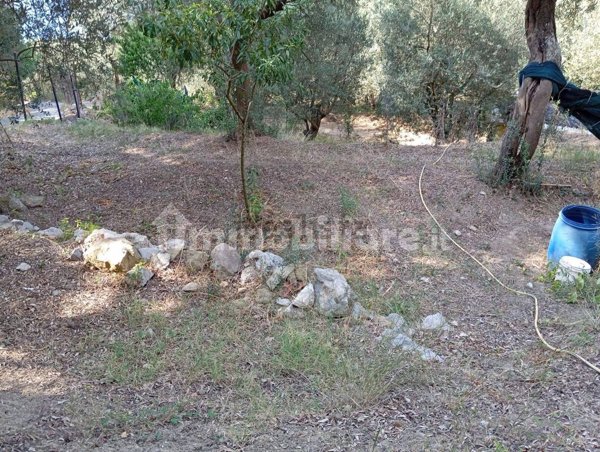 appartamento in vendita a Massa Lubrense in zona Sant'Agata sui Due Golfi
