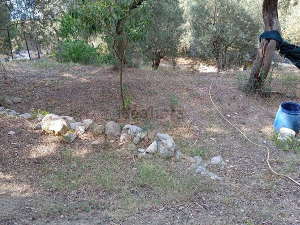 appartamento in vendita a Massa Lubrense in zona Sant'Agata sui Due Golfi