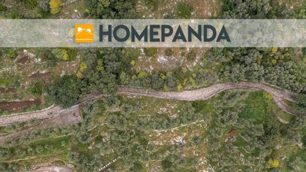 terreno agricolo in vendita a Massa Lubrense in zona Termini