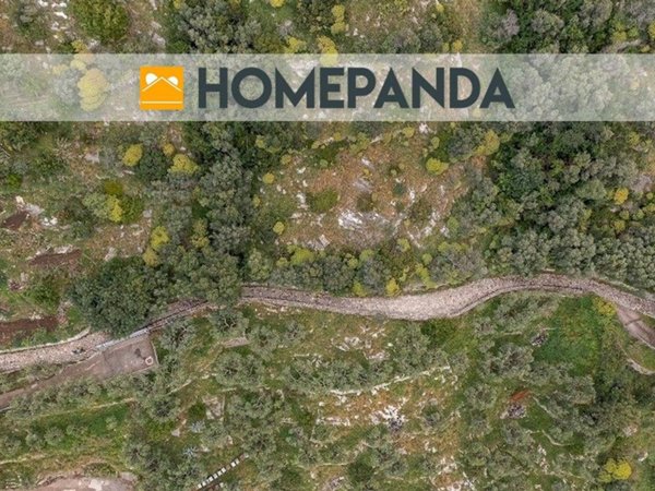 terreno agricolo in vendita a Massa Lubrense