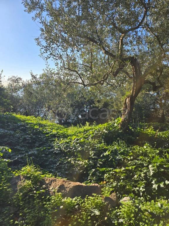 terreno agricolo in vendita a Massa Lubrense in zona Termini