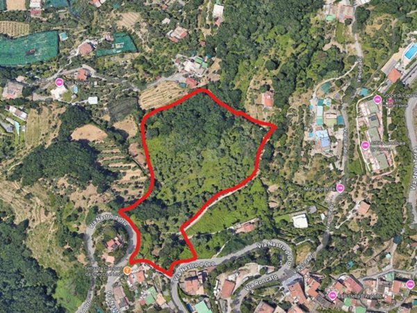 terreno agricolo in vendita a Massa Lubrense in zona Termini