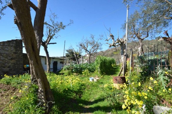 casa indipendente in vendita a Massa Lubrense in zona Torca