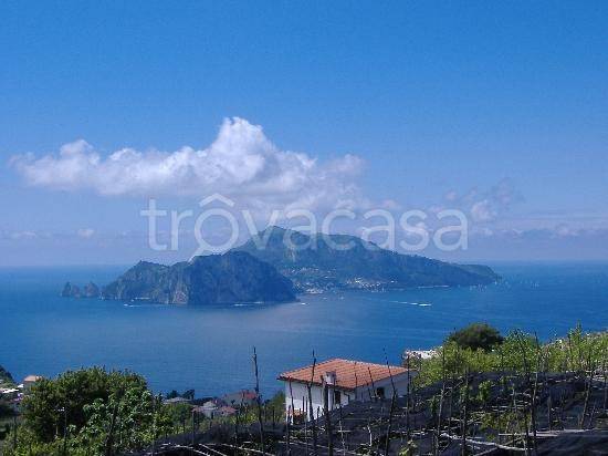 negozio in vendita a Massa Lubrense in zona Termini