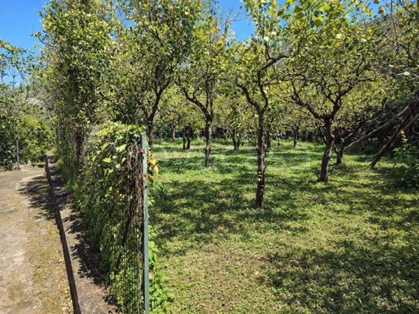 terreno agricolo in vendita a Massa Lubrense