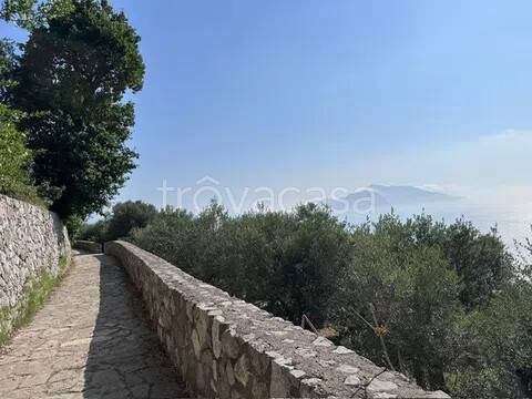terreno agricolo in vendita a Massa Lubrense