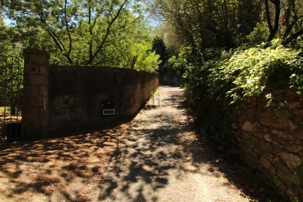 terreno agricolo in vendita a Massa Lubrense in zona San Francesco