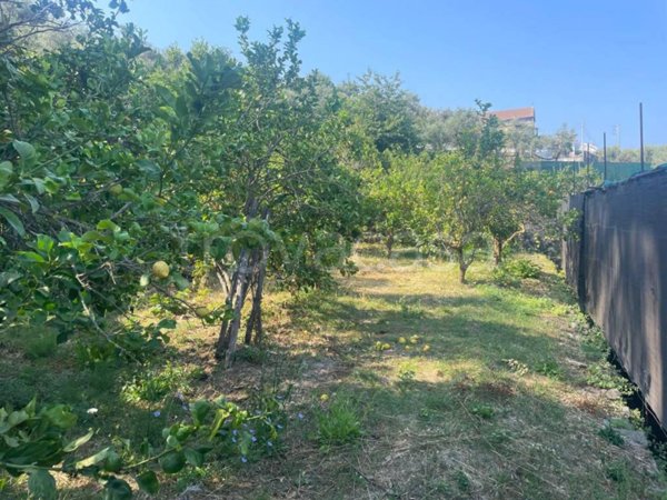 terreno agricolo in vendita a Massa Lubrense