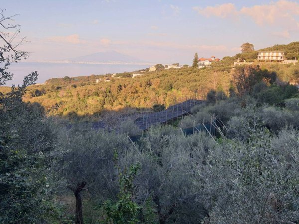 terreno agricolo in vendita a Massa Lubrense in zona Termini