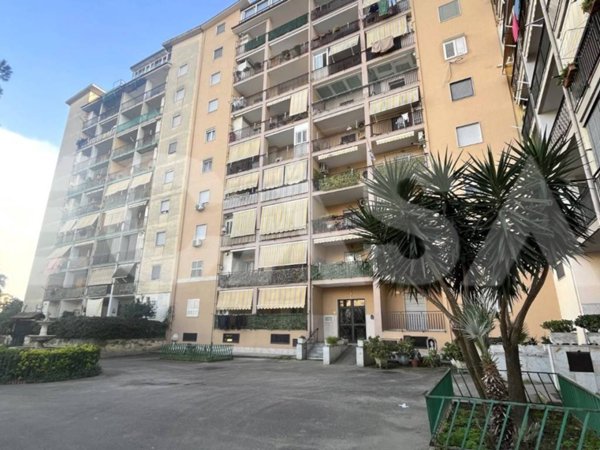 appartamento in vendita a Melito di Napoli