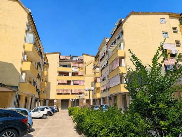 immagine annuncio 0 di 15