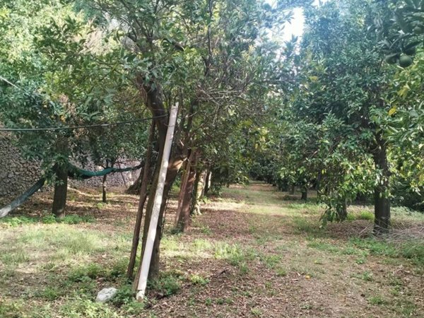 terreno agricolo in vendita a Meta