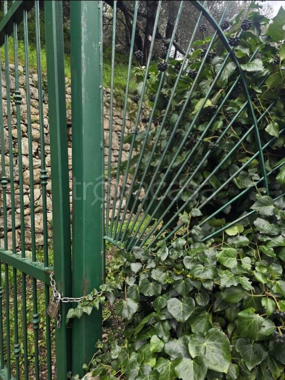 terreno agricolo in vendita a Meta