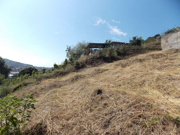 terreno agricolo in vendita a Monte di Procida in zona Torregaveta