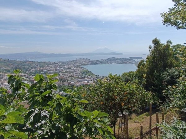 terreno agricolo in vendita a Monte di Procida in zona Torregaveta