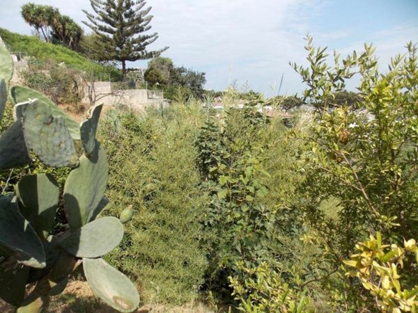 terreno agricolo in vendita a Monte di Procida in zona Torregaveta
