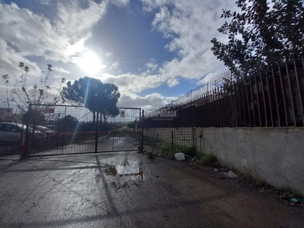 terreno agricolo in vendita a Mugnano di Napoli