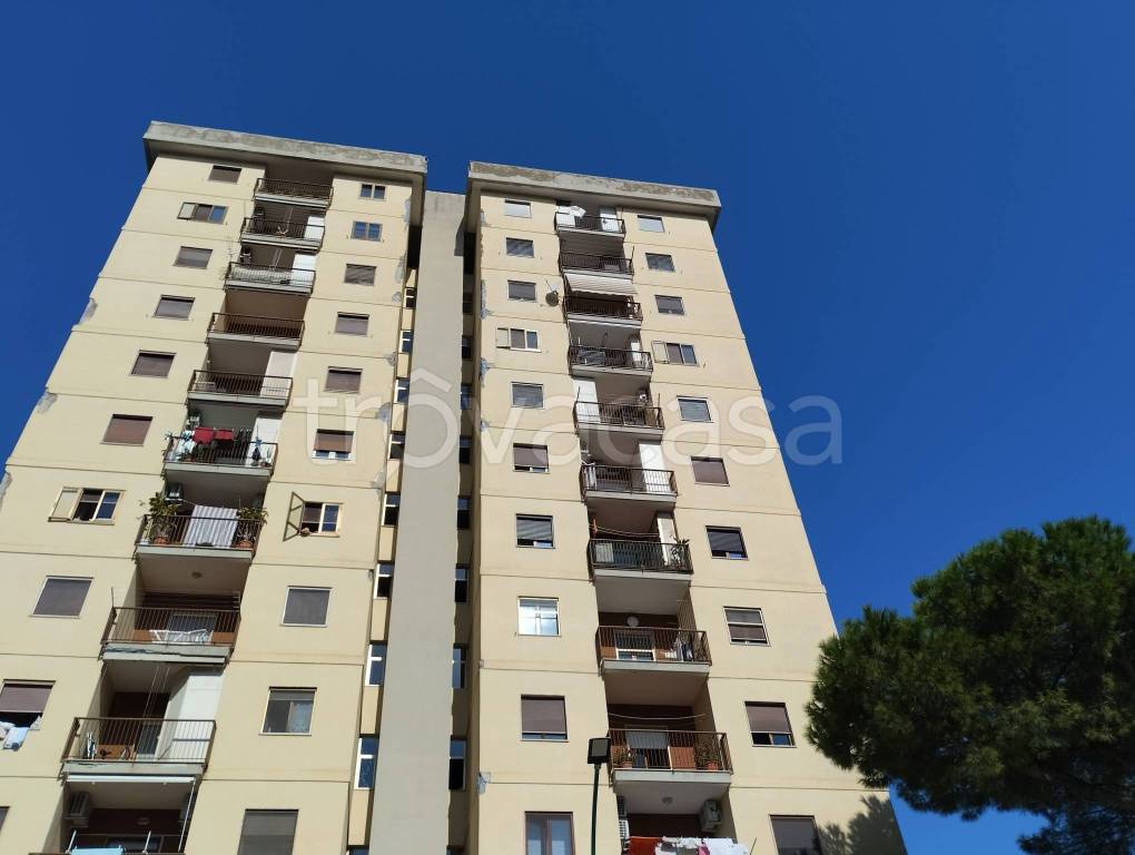 appartamento in vendita a Napoli in zona Scampia