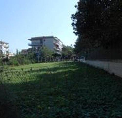 terreno agricolo in vendita a Napoli in zona Scampia