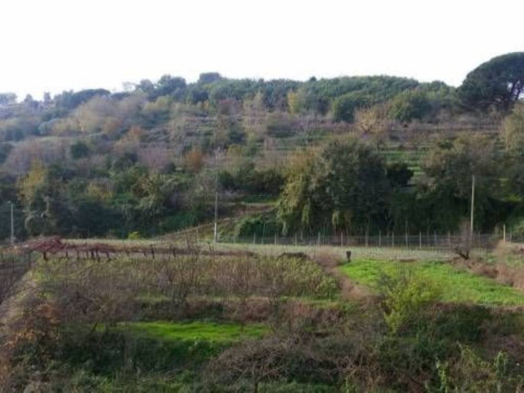 terreno agricolo in vendita a Napoli in zona Pianura