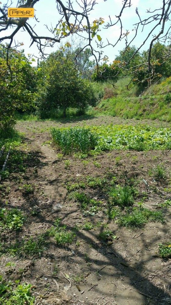 terreno agricolo in vendita a Napoli in zona Fuorigrotta