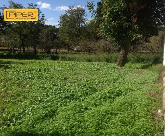 terreno agricolo in vendita a Napoli in zona Pianura