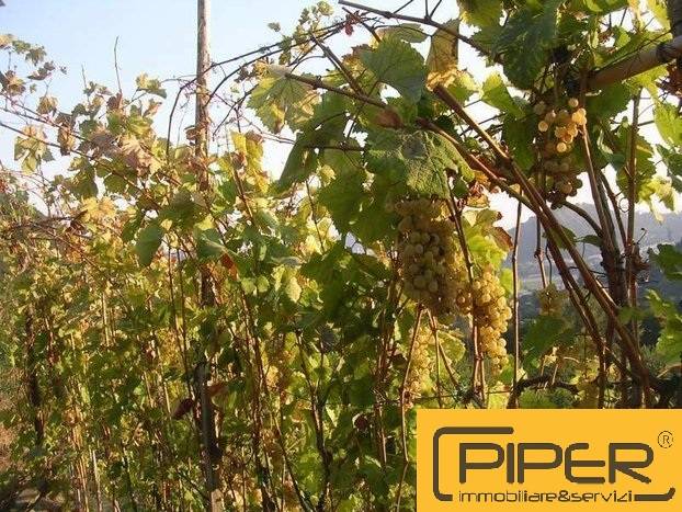 terreno agricolo in vendita a Napoli in zona Pianura