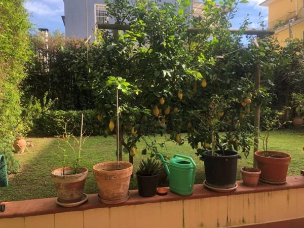 appartamento in vendita a Napoli in zona Posillipo