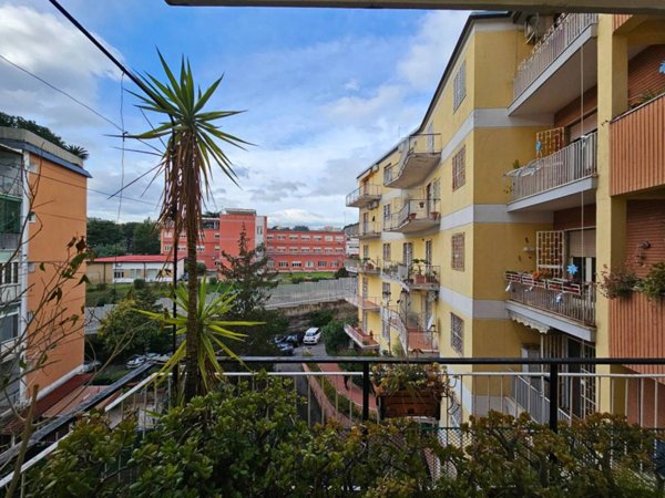 appartamento in vendita a Napoli in zona Capodimonte / Colli Aminei