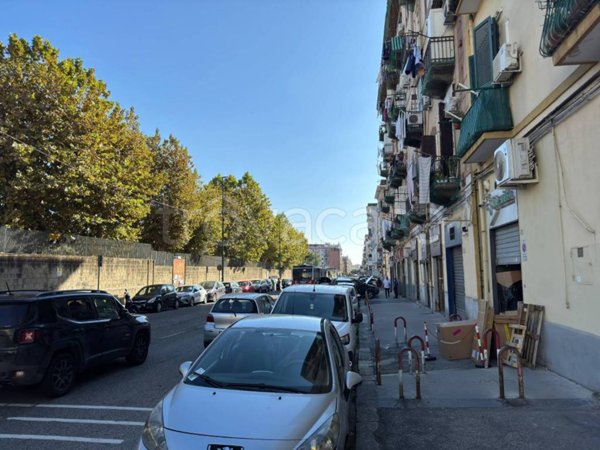 negozio in vendita a Napoli