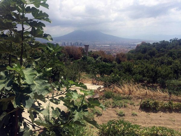 terreno agricolo in vendita a Napoli in zona Fuorigrotta
