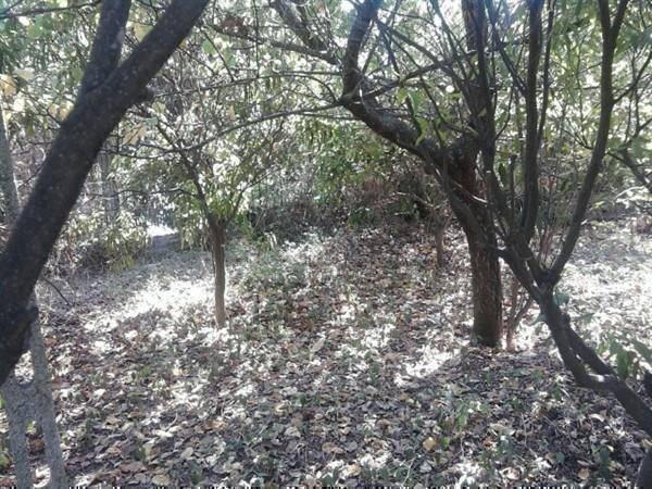 terreno agricolo in vendita a Napoli in zona Bagnoli