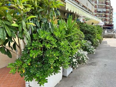 negozio in vendita a Napoli in zona Camaldoli