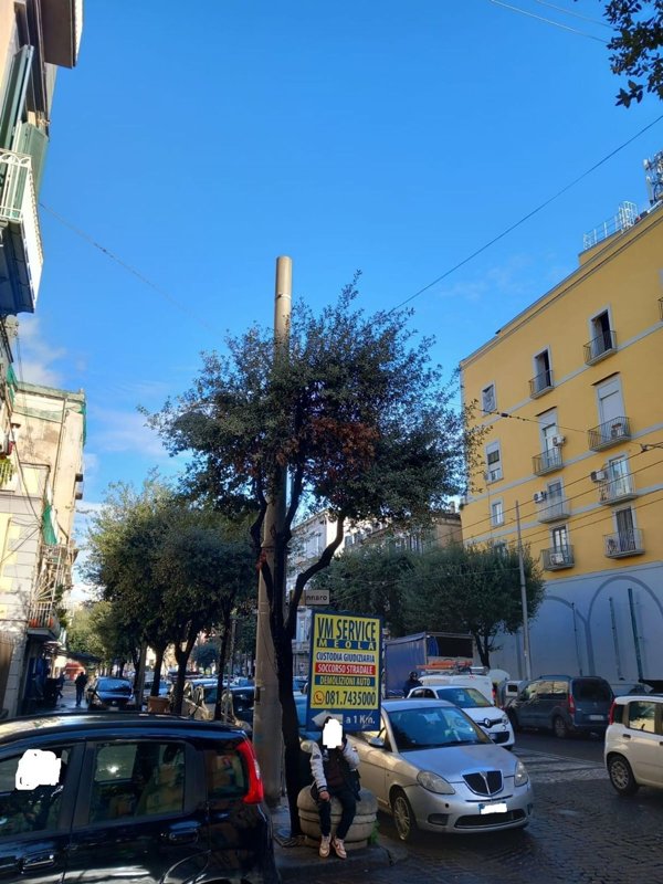 appartamento in vendita a Napoli in zona Stella