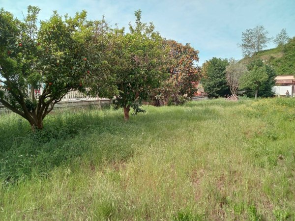 terreno agricolo in vendita a Napoli in zona Pianura