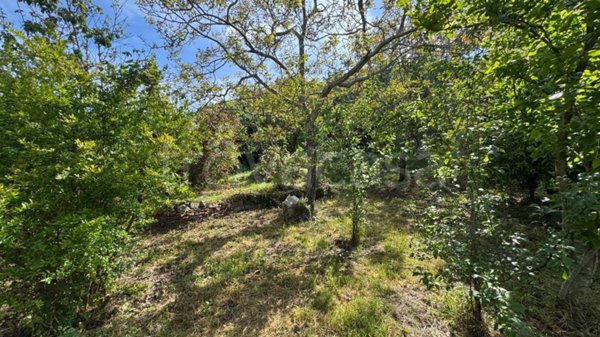 terreno agricolo in vendita a Napoli in zona San Carlo all'Arena