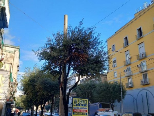 appartamento in vendita a Napoli in zona Stella