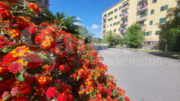 appartamento in vendita a Napoli in zona Bagnoli