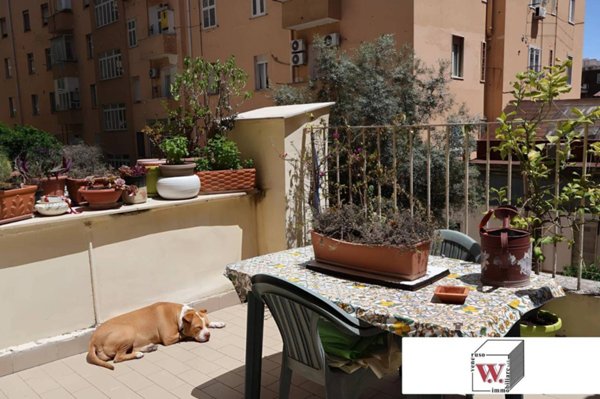 appartamento in vendita a Napoli in zona Arenella