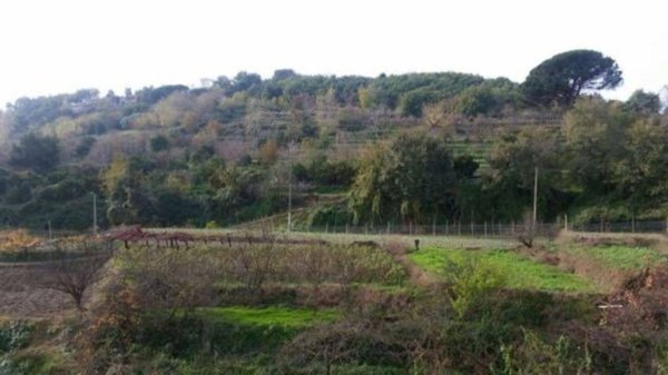 terreno agricolo in vendita a Napoli in zona Bagnoli