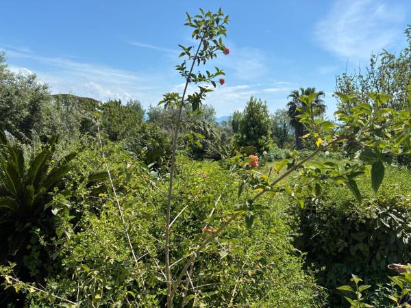 terreno agricolo in vendita a Napoli in zona Posillipo