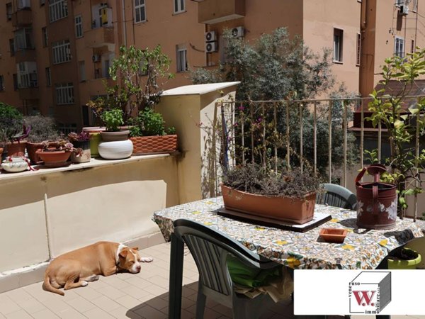 appartamento in vendita a Napoli in zona Arenella