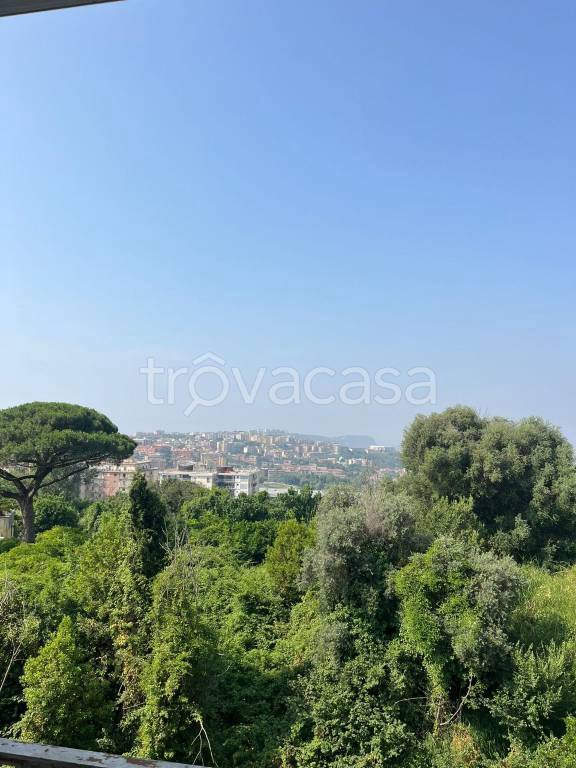 appartamento in vendita a Napoli in zona Mercato