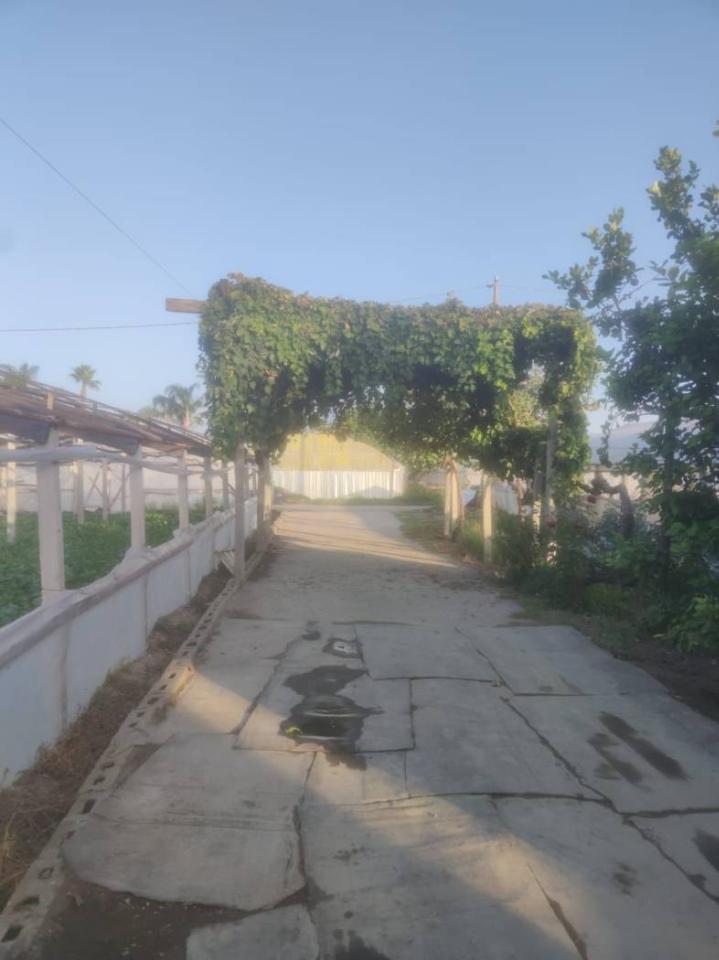 terreno agricolo in vendita a Napoli in zona Zona Industriale-Ferrovia
